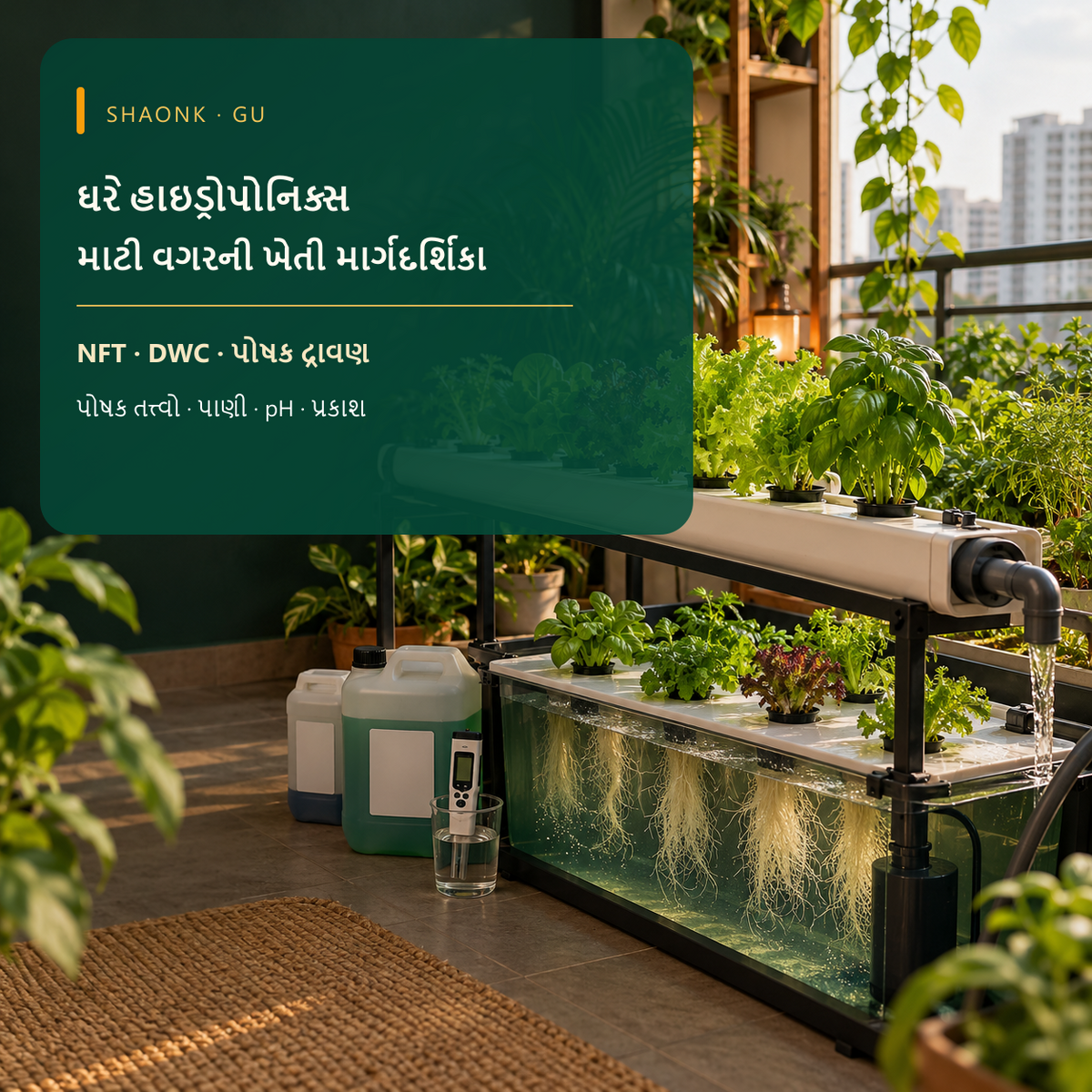 Gujarati-language hydroponics ebook cover with NFT and DWC systems, nutrient solution and water pH.