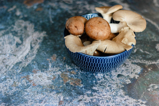 indoor mushroom farming guide review