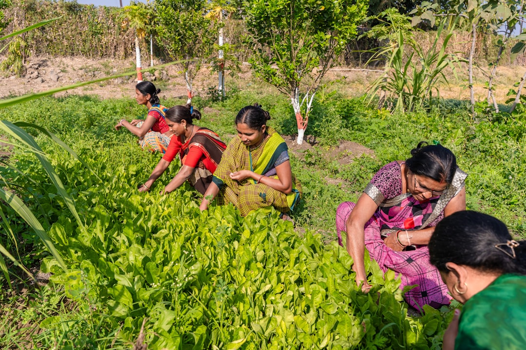 Launch Your Home Microgreens Business in India: Is Microgreens Mastery Your Shortcut?