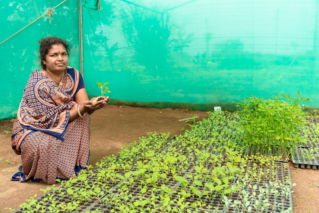 microgreens mastery india