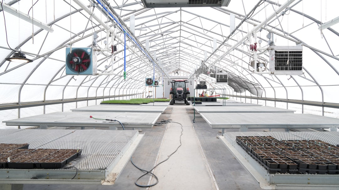 profitable indoor spirulina farming
