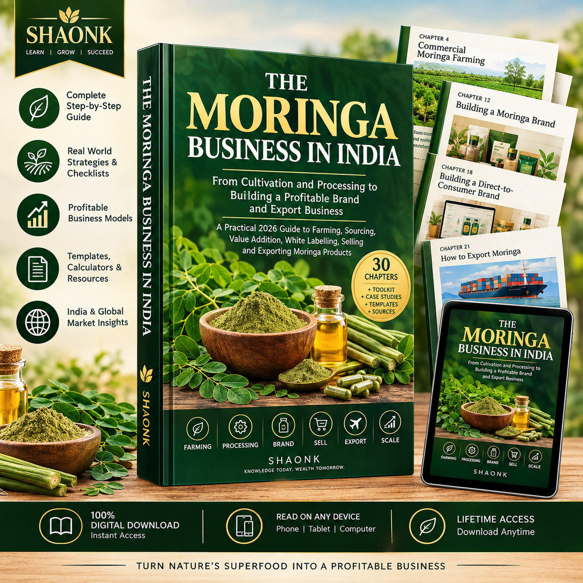 The Moringa Business in India | Farming, Processing, Branding & Export Business Guide