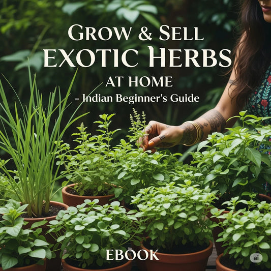 Grow & Sell Exotic Herbs at Home – Indian Beginner's Guide SHAONK
