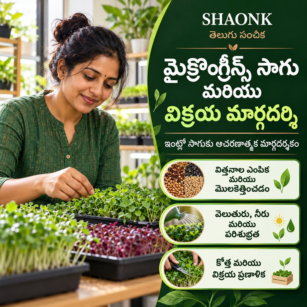Telugu ebook: Microgreens growing and selling — seed selection, growing care, harvest and sales planning.