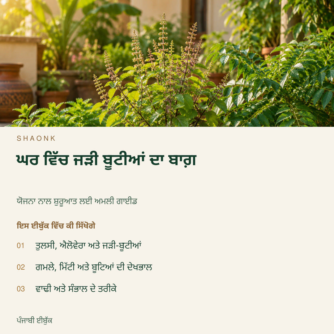 ਘਰ ਵਿੱਚ ਜੜੀ ਬੂਟੀਆਂ ਦਾ ਬਾਗ਼ | ਪੰਜਾਬੀ ਈਬੁੱਕ — SHAONK punjabi ebook cover. ਤੁਲਸੀ, ਐਲੋਵੇਰਾ ਅਤੇ ਜੜੀ-ਬੂਟੀਆਂ. ਗਮਲੇ, ਮਿੱਟੀ ਅਤੇ ਬੂਟਿਆਂ ਦੀ ਦੇਖਭਾਲ. ਵਾਢੀ ਅਤੇ ਸੰਭਾਲ ਦੇ ਤਰੀਕੇ