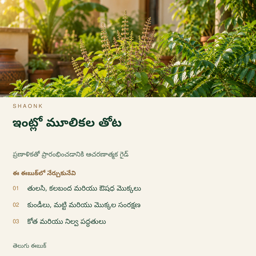 ఇంట్లో మూలికల తోట | తెలుగు ఈబుక్ — SHAONK telugu ebook cover. తులసి, కలబంద మరియు ఔషధ మొక్కలు. కుండీలు, మట్టి మరియు మొక్కల సంరక్షణ. కోత మరియు నిల్వ పద్ధతులు