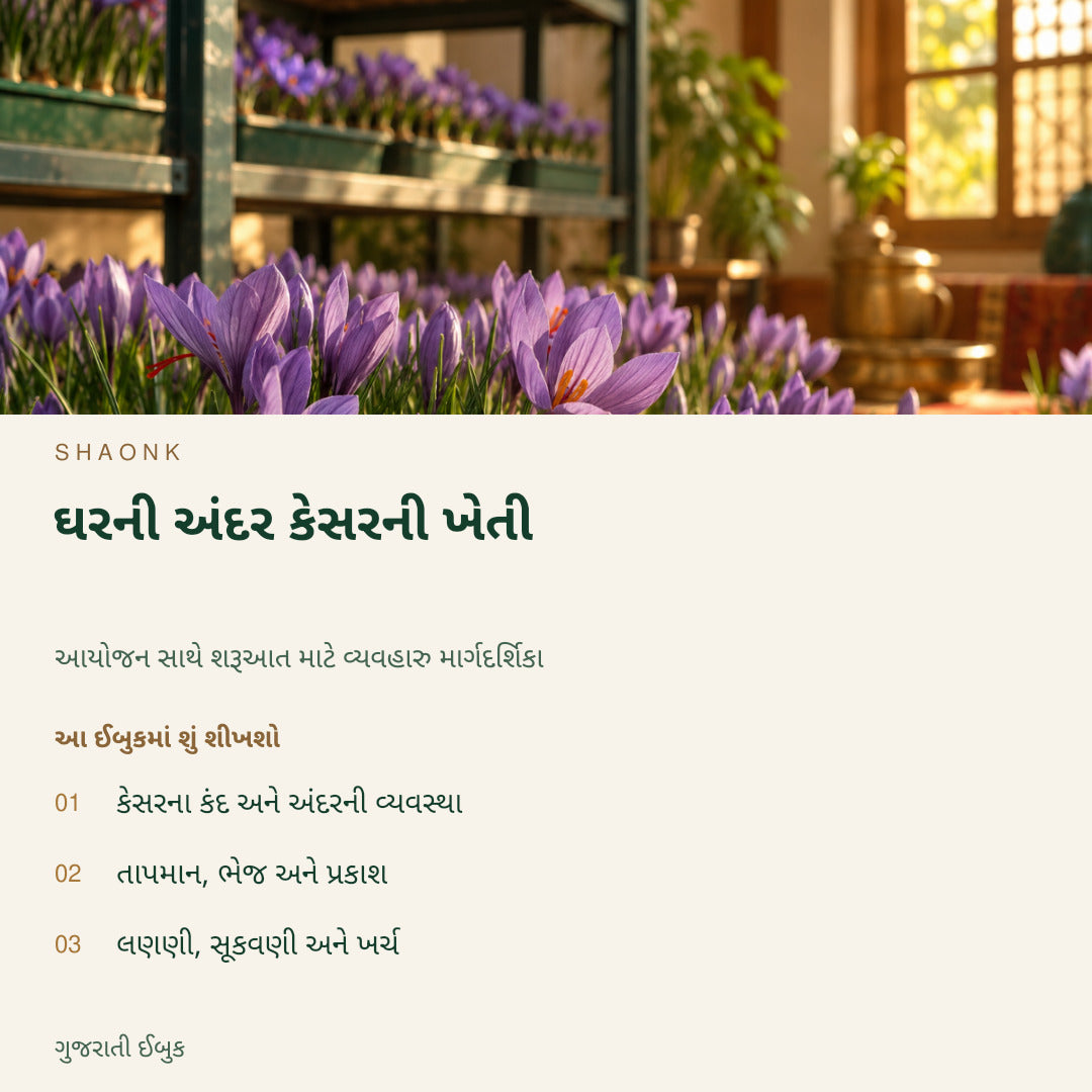 ઘરની અંદર કેસરની ખેતી | ગુજરાતી ઈબુક — SHAONK gujarati ebook cover. કેસરના કંદ અને અંદરની વ્યવસ્થા. તાપમાન, ભેજ અને પ્રકાશ. લણણી, સૂકવણી અને ખર્ચ