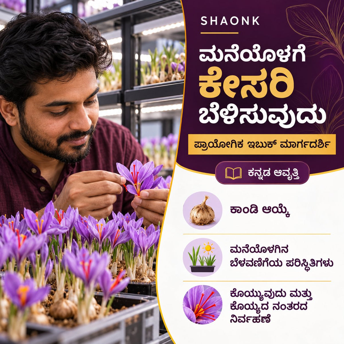 Kannada ebook — Indoor Saffron Growing: Corm selection; Indoor growing conditions; Harvest and post-harvest care.