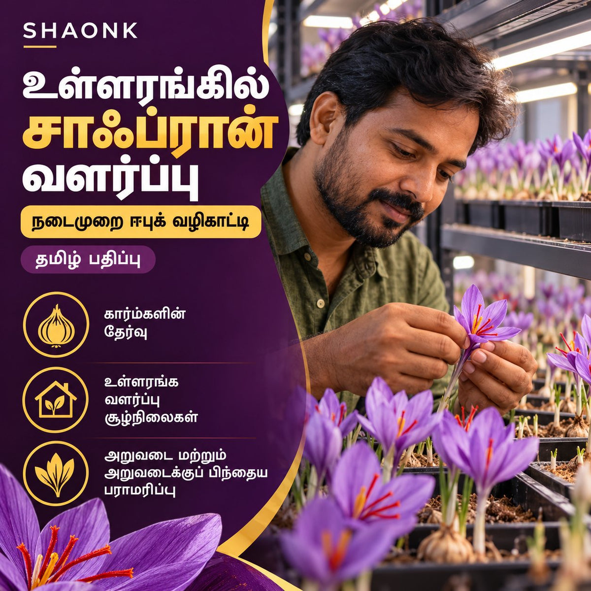 Tamil ebook — Indoor Saffron Growing: Corm selection; Indoor growing conditions; Harvest and post-harvest care.