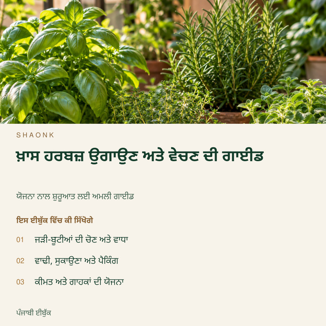 ਖ਼ਾਸ ਹਰਬਜ਼ ਉਗਾਉਣ ਅਤੇ ਵੇਚਣ ਦੀ ਗਾਈਡ | ਪੰਜਾਬੀ ਈਬੁੱਕ — SHAONK punjabi ebook cover. ਜੜੀ-ਬੂਟੀਆਂ ਦੀ ਚੋਣ ਅਤੇ ਵਾਧਾ. ਵਾਢੀ, ਸੁਕਾਉਣਾ ਅਤੇ ਪੈਕਿੰਗ. ਕੀਮਤ ਅਤੇ ਗਾਹਕਾਂ ਦੀ ਯੋਜਨਾ