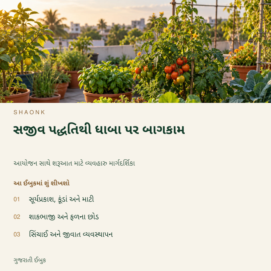 સજીવ પદ્ધતિથી ધાબા પર બાગકામ | ગુજરાતી ઈબુક — SHAONK gujarati ebook cover. સૂર્યપ્રકાશ, કૂંડાં અને માટી. શાકભાજી અને ફળના છોડ. સિંચાઈ અને જીવાત વ્યવસ્થાપન