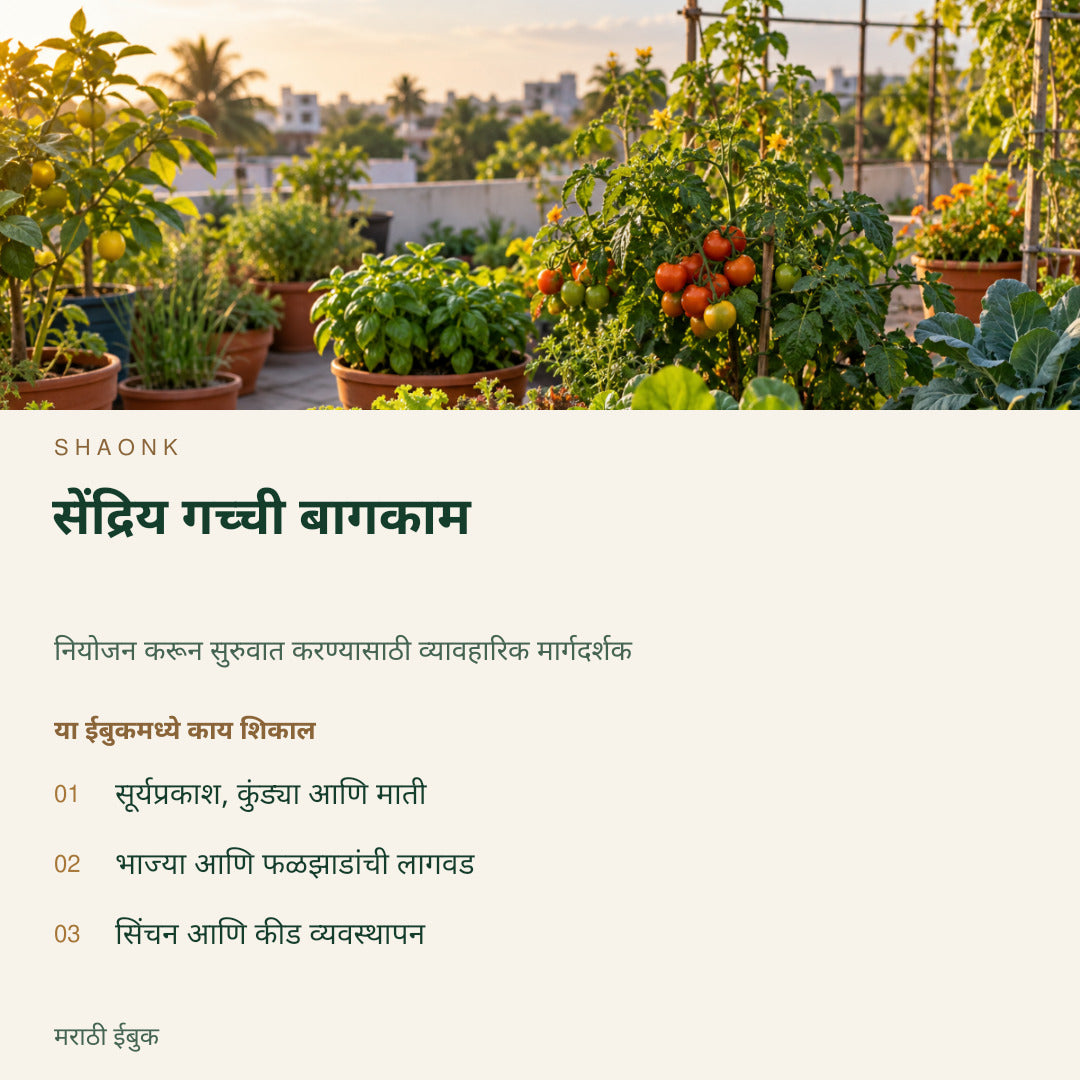 सेंद्रिय गच्ची बागकाम | मराठी ईबुक — SHAONK marathi ebook cover. सूर्यप्रकाश, कुंड्या आणि माती. भाज्या आणि फळझाडांची लागवड. सिंचन आणि कीड व्यवस्थापन