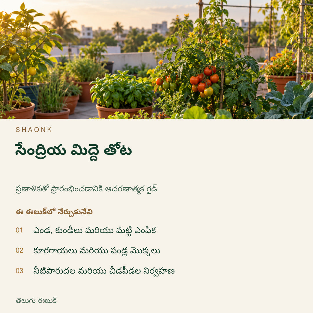 సేంద్రియ మిద్దె తోట | తెలుగు ఈబుక్ — SHAONK telugu ebook cover. ఎండ, కుండీలు మరియు మట్టి ఎంపిక. కూరగాయలు మరియు పండ్ల మొక్కలు. నీటిపారుదల మరియు చీడపీడల నిర్వహణ