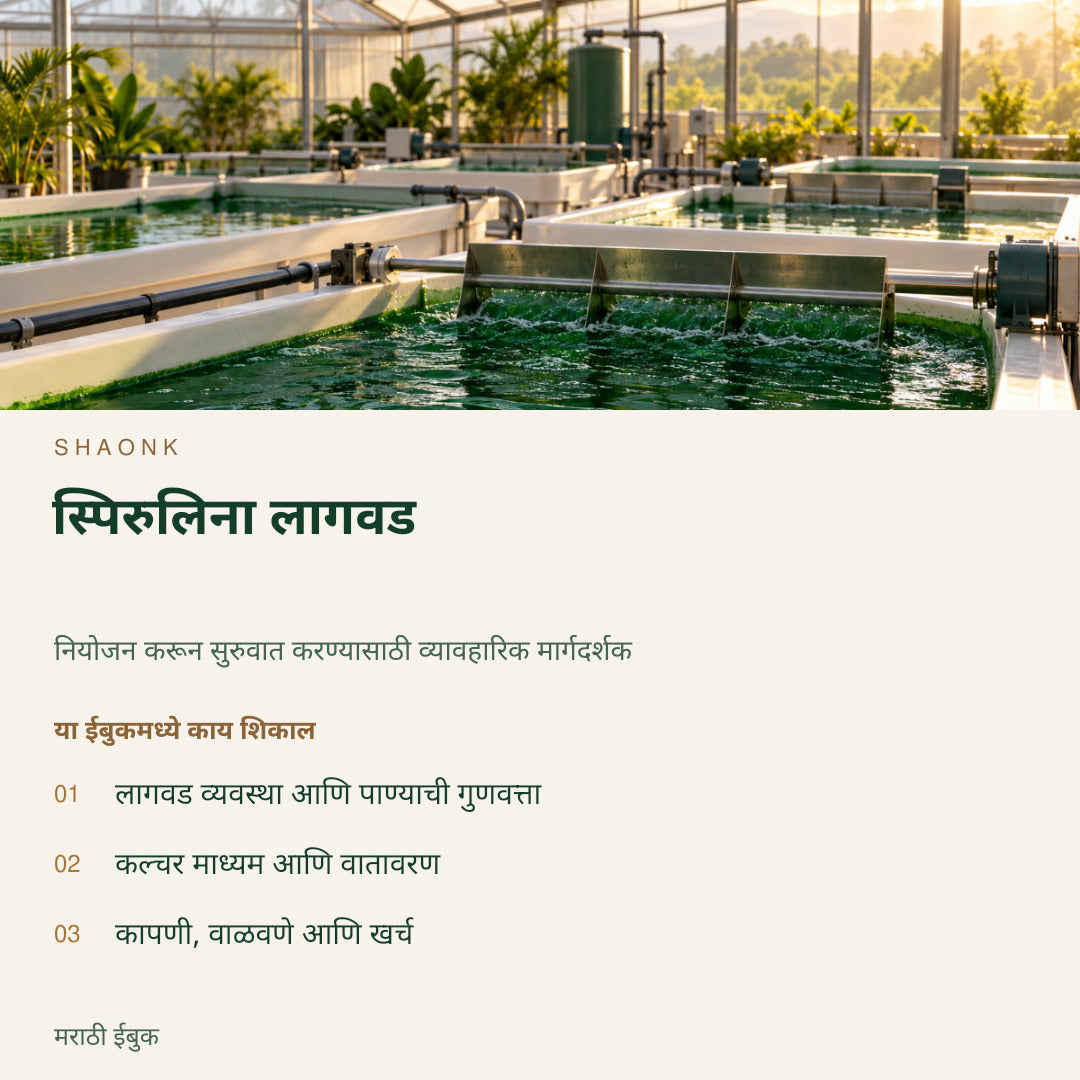 स्पिरुलिना लागवड | मराठी ईबुक — SHAONK marathi ebook cover. लागवड व्यवस्था आणि पाण्याची गुणवत्ता. कल्चर माध्यम आणि वातावरण. कापणी, वाळवणे आणि खर्च