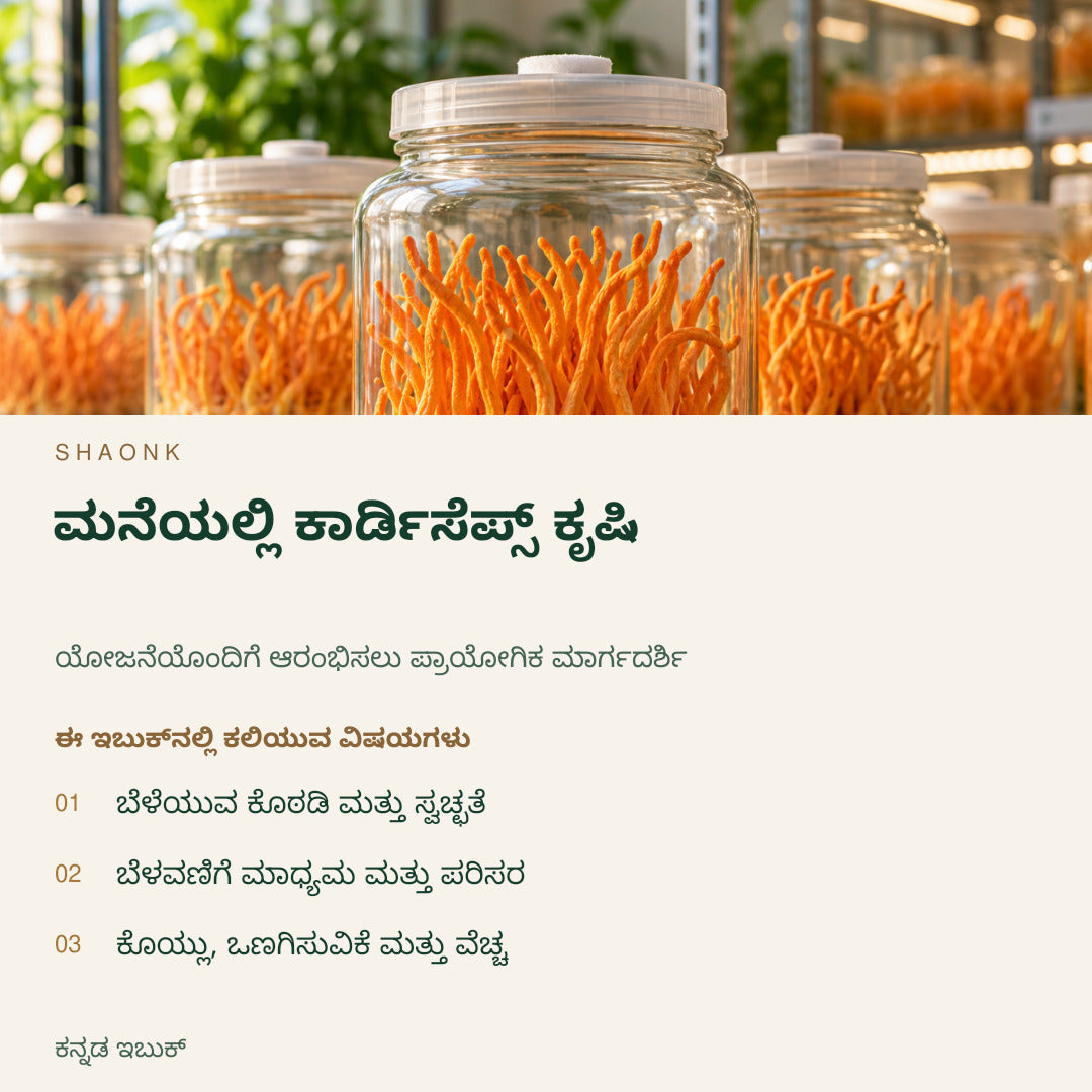 ಮನೆಯಲ್ಲಿ ಕಾರ್ಡಿಸೆಪ್ಸ್ ಕೃಷಿ | ಕನ್ನಡ ಇಬುಕ್ — SHAONK kannada ebook cover. ಬೆಳೆಯುವ ಕೊಠಡಿ ಮತ್ತು ಸ್ವಚ್ಛತೆ. ಬೆಳವಣಿಗೆ ಮಾಧ್ಯಮ ಮತ್ತು ಪರಿಸರ. ಕೊಯ್ಲು, ಒಣಗಿಸುವಿಕೆ ಮತ್ತು ವೆಚ್ಚ