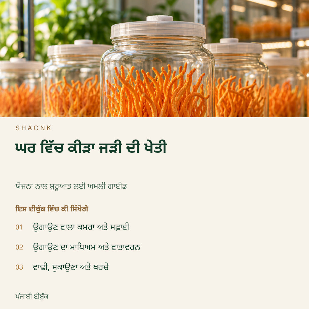 ਘਰ ਵਿੱਚ ਕੀੜਾ ਜੜੀ ਦੀ ਖੇਤੀ | ਪੰਜਾਬੀ ਈਬੁੱਕ — SHAONK punjabi ebook cover. ਉਗਾਉਣ ਵਾਲਾ ਕਮਰਾ ਅਤੇ ਸਫ਼ਾਈ. ਉਗਾਉਣ ਦਾ ਮਾਧਿਅਮ ਅਤੇ ਵਾਤਾਵਰਨ. ਵਾਢੀ, ਸੁਕਾਉਣਾ ਅਤੇ ਖਰਚੇ