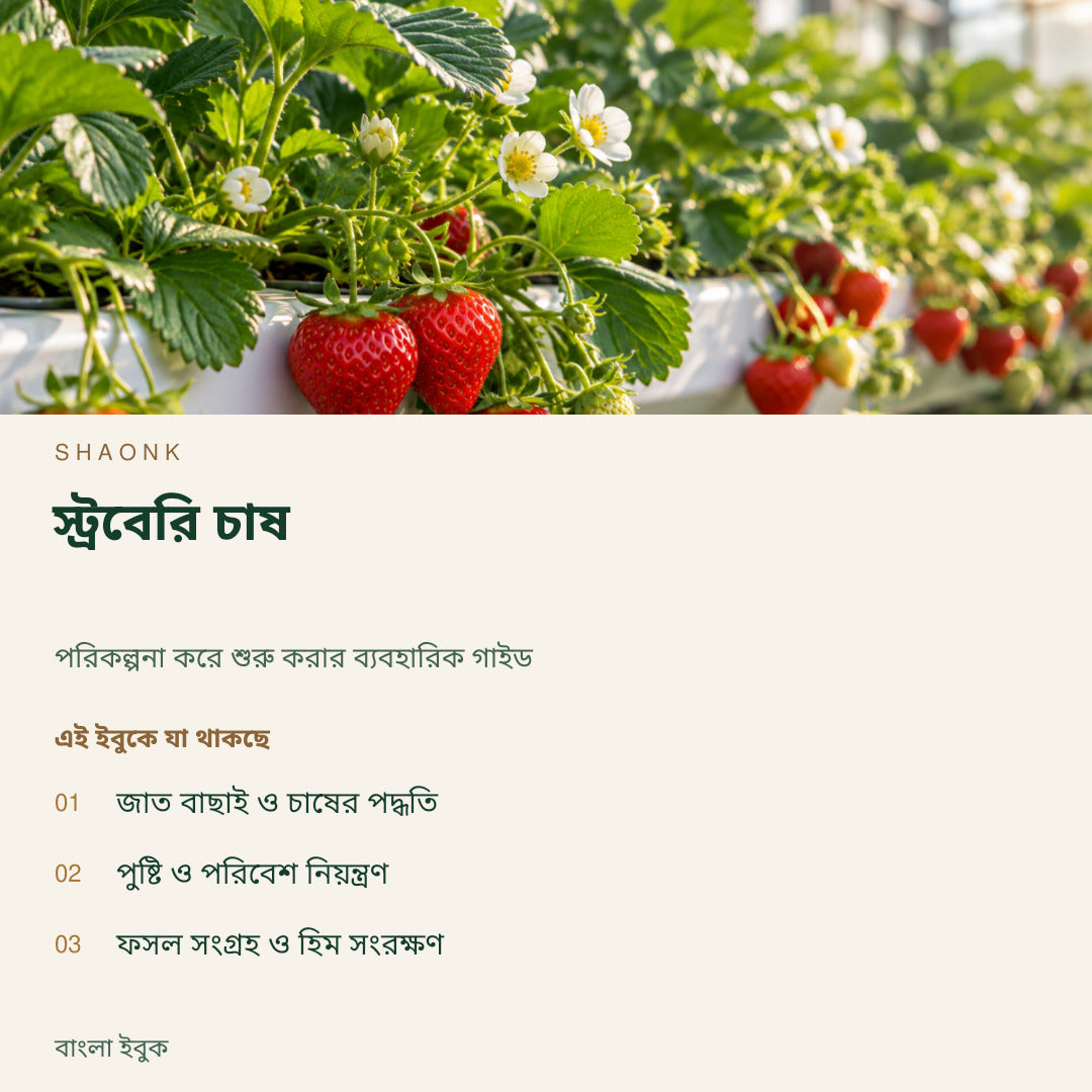 স্ট্রবেরি চাষ | বাংলা ইবুক — SHAONK bengali ebook cover. জাত বাছাই ও চাষের পদ্ধতি. পুষ্টি ও পরিবেশ নিয়ন্ত্রণ. ফসল সংগ্রহ ও হিম সংরক্ষণ