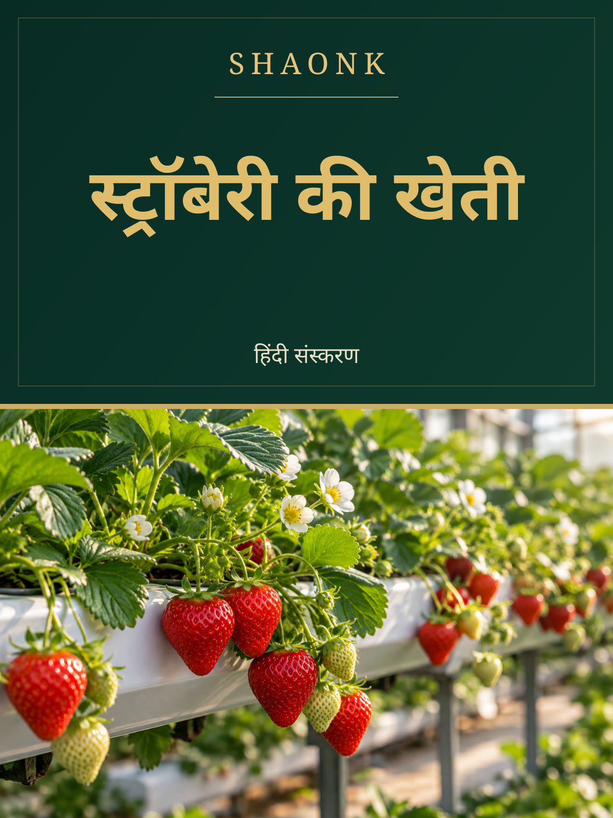 Strawberry Farming Guide for India | Hydroponics & Cultivation - Hindi Edition