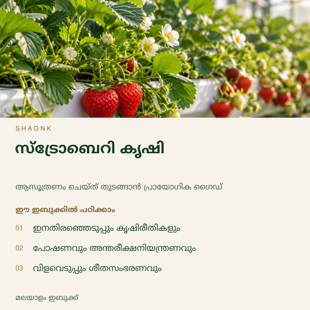 സ്ട്രോബെറി കൃഷി | മലയാളം ഇബുക്ക് — SHAONK malayalam ebook cover. ഇനതിരഞ്ഞെടുപ്പും കൃഷിരീതികളും. പോഷണവും അന്തരീക്ഷനിയന്ത്രണവും. വിളവെടുപ്പും ശീതസംഭരണവും