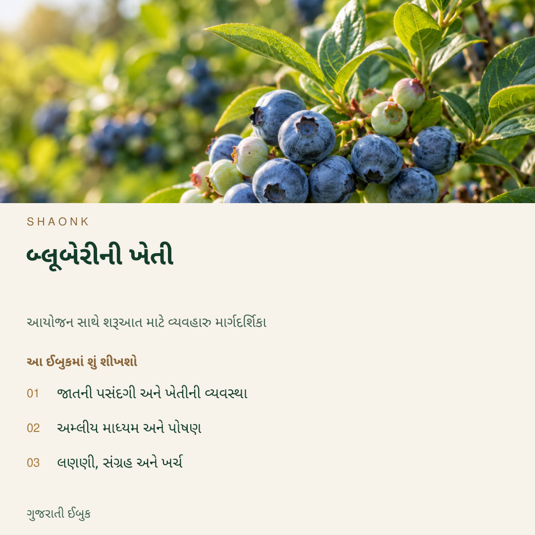 બ્લૂબેરીની ખેતી | ગુજરાતી ઈબુક — SHAONK gujarati ebook cover. જાતની પસંદગી અને ખેતીની વ્યવસ્થા. અમ્લીય માધ્યમ અને પોષણ. લણણી, સંગ્રહ અને ખર્ચ