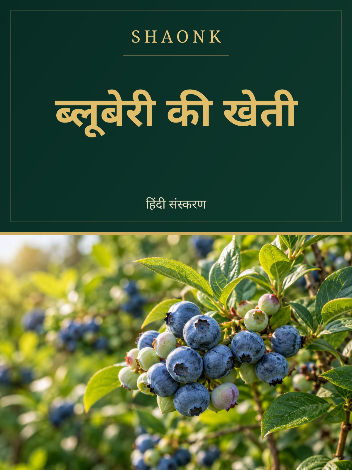 Blueberry Farming in India | Cultivation & Hydroponics Guide - Hindi Edition