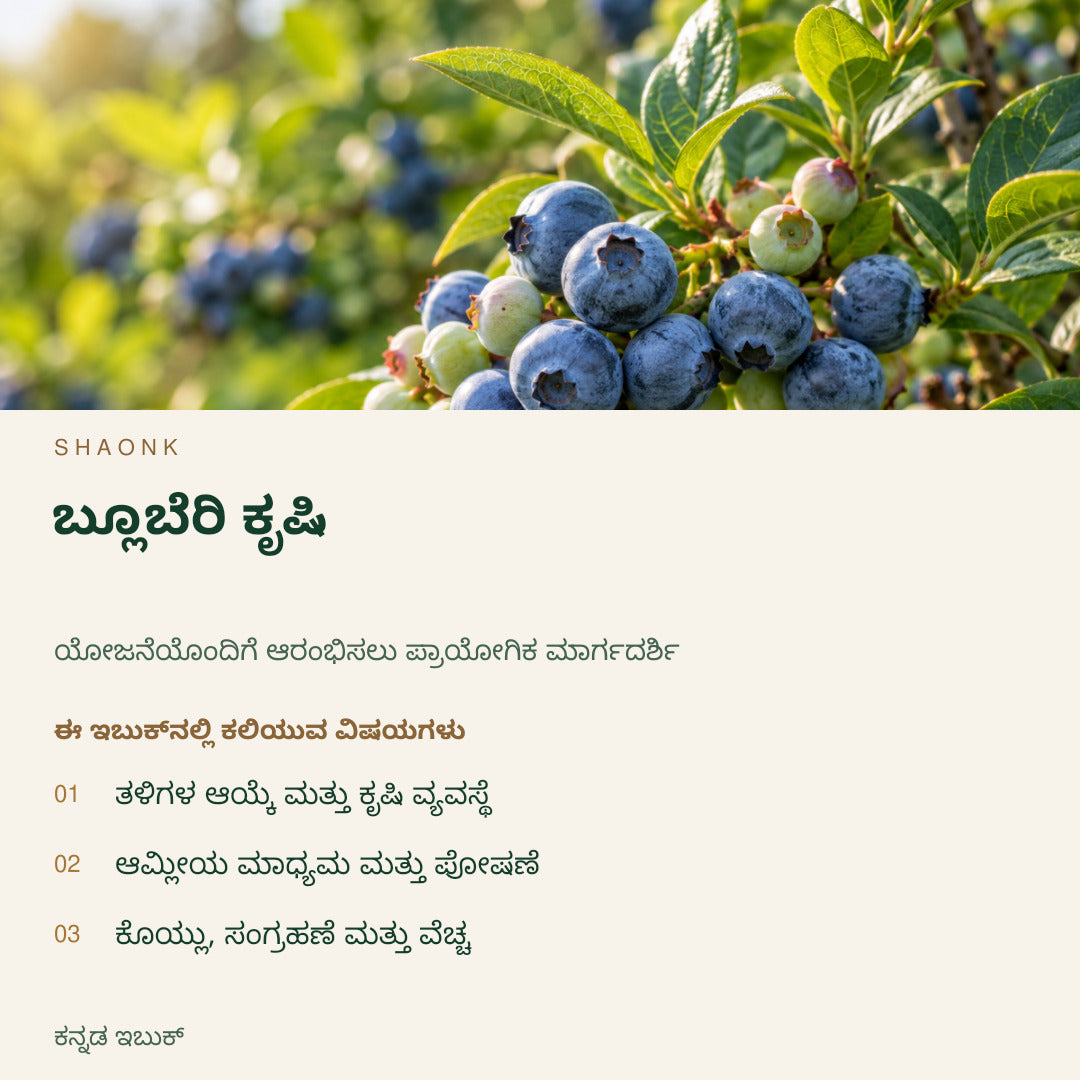 ಬ್ಲೂಬೆರಿ ಕೃಷಿ | ಕನ್ನಡ ಇಬುಕ್ — SHAONK kannada ebook cover. ತಳಿಗಳ ಆಯ್ಕೆ ಮತ್ತು ಕೃಷಿ ವ್ಯವಸ್ಥೆ. ಆಮ್ಲೀಯ ಮಾಧ್ಯಮ ಮತ್ತು ಪೋಷಣೆ. ಕೊಯ್ಲು, ಸಂಗ್ರಹಣೆ ಮತ್ತು ವೆಚ್ಚ