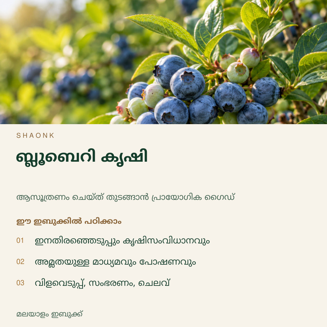 ബ്ലൂബെറി കൃഷി | മലയാളം ഇബുക്ക് — SHAONK malayalam ebook cover. ഇനതിരഞ്ഞെടുപ്പും കൃഷിസംവിധാനവും. അമ്ലതയുള്ള മാധ്യമവും പോഷണവും. വിളവെടുപ്പ്, സംഭരണം, ചെലവ്