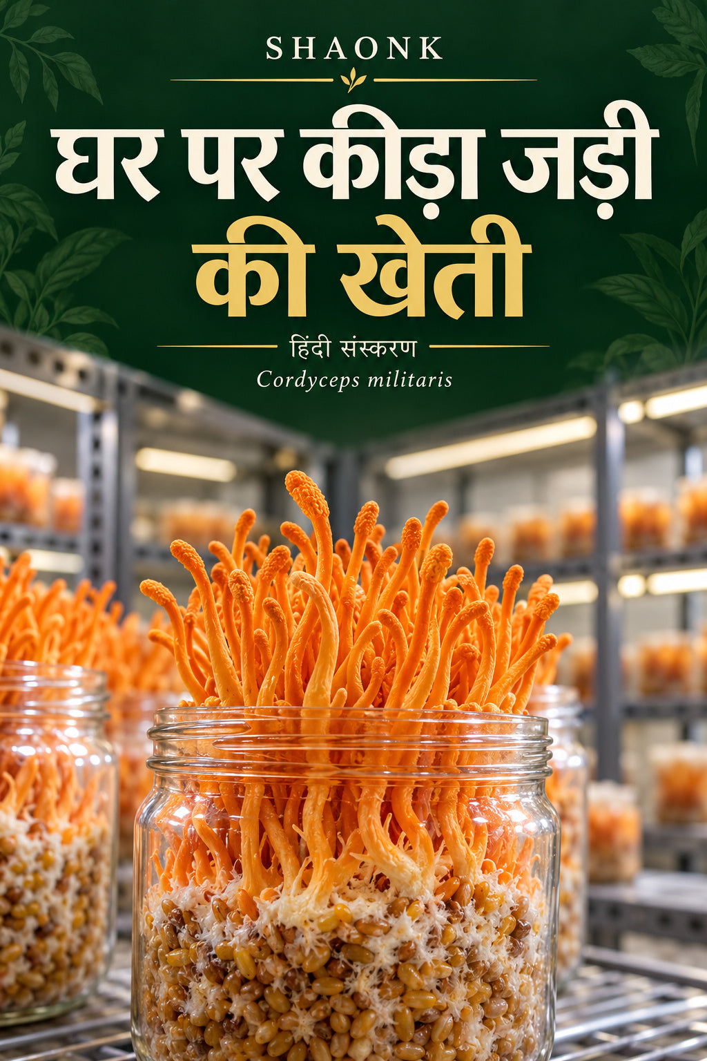 Cordyceps Militaris Farming Guide | Home Keeda Jadi Cultivation Setup - Hindi Edition